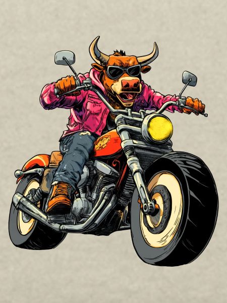 Bulls Motorcycle