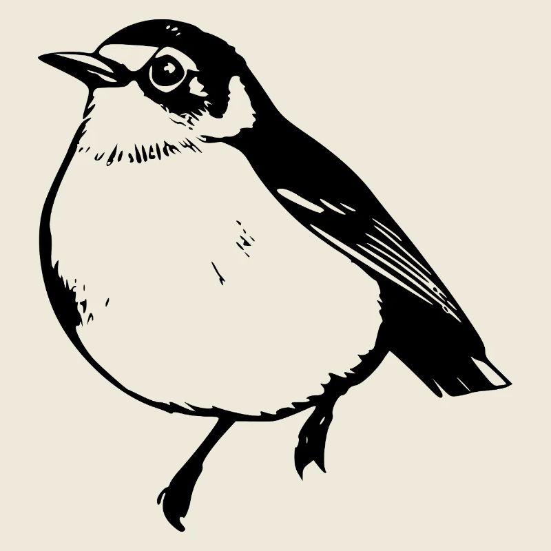 Vogel schwarz schwarzer Vogel