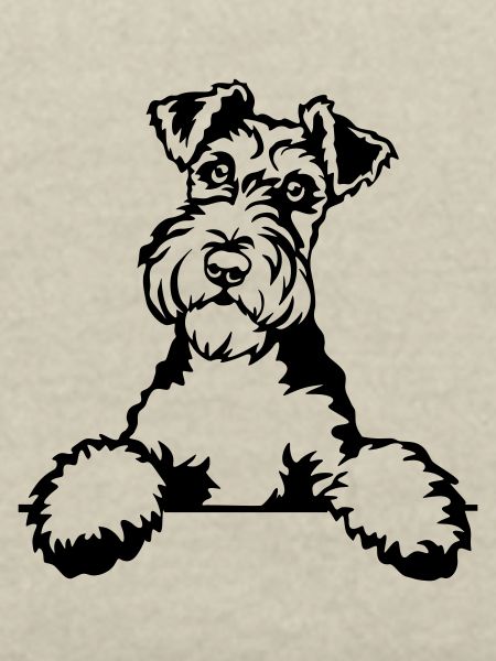 Foxterrier Kopf