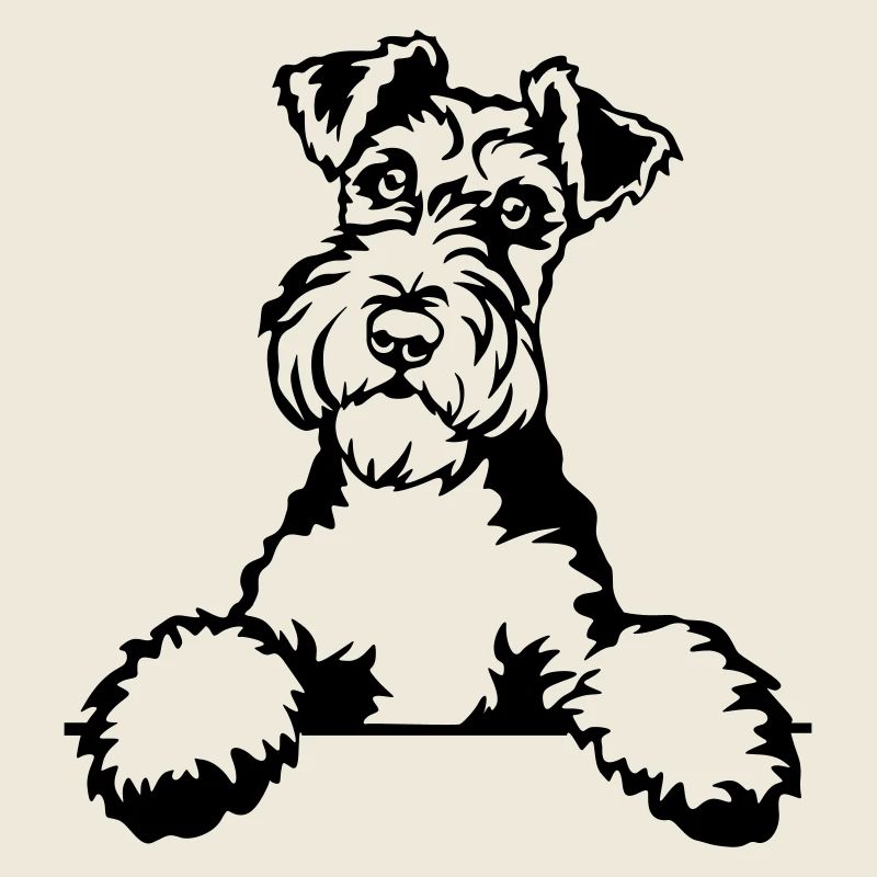 Foxterrier Kopf