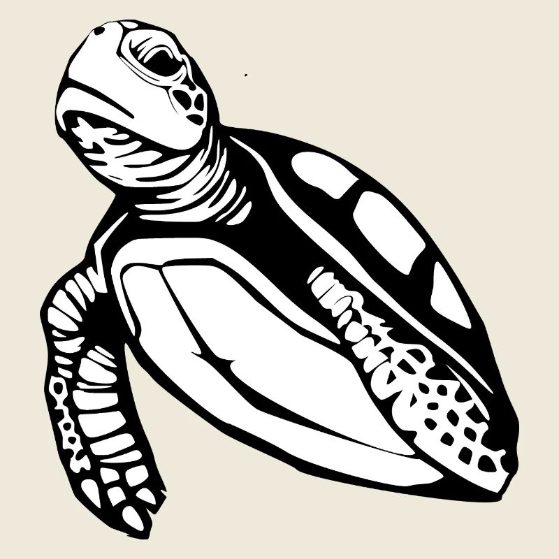 Turtle Turtles T-shirt Gift