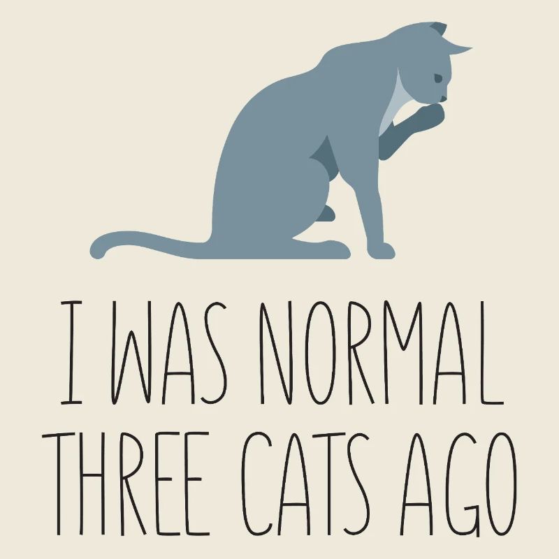 J’étais normal il y a trois chats