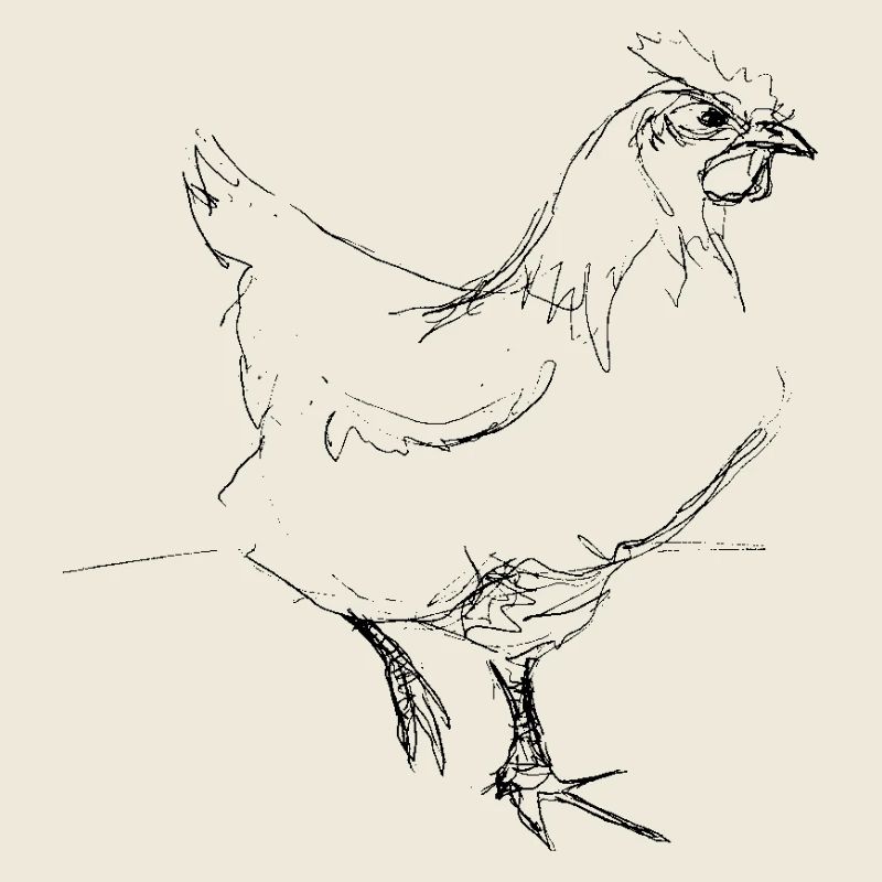 Poulet