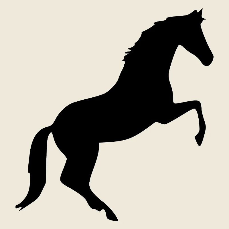 Cheval Silhouettes Cavalier Cadeau Noir
