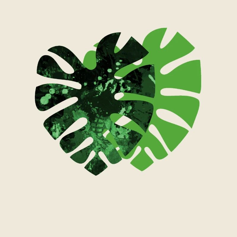 Monstera plant