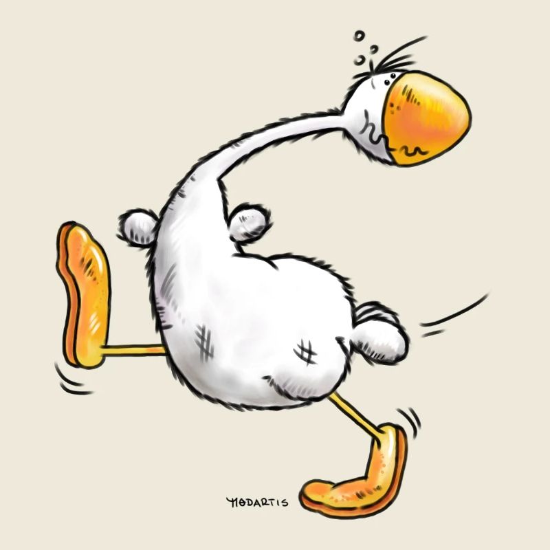 "Lola" - Canard - Volaille