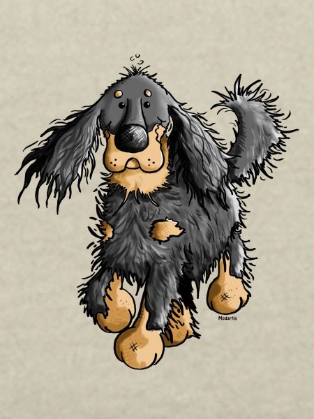 Flinker Gordon Setter - Hund