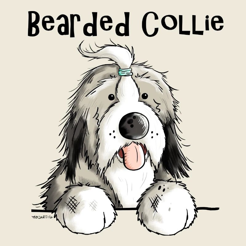 Süßer Bearded Collie