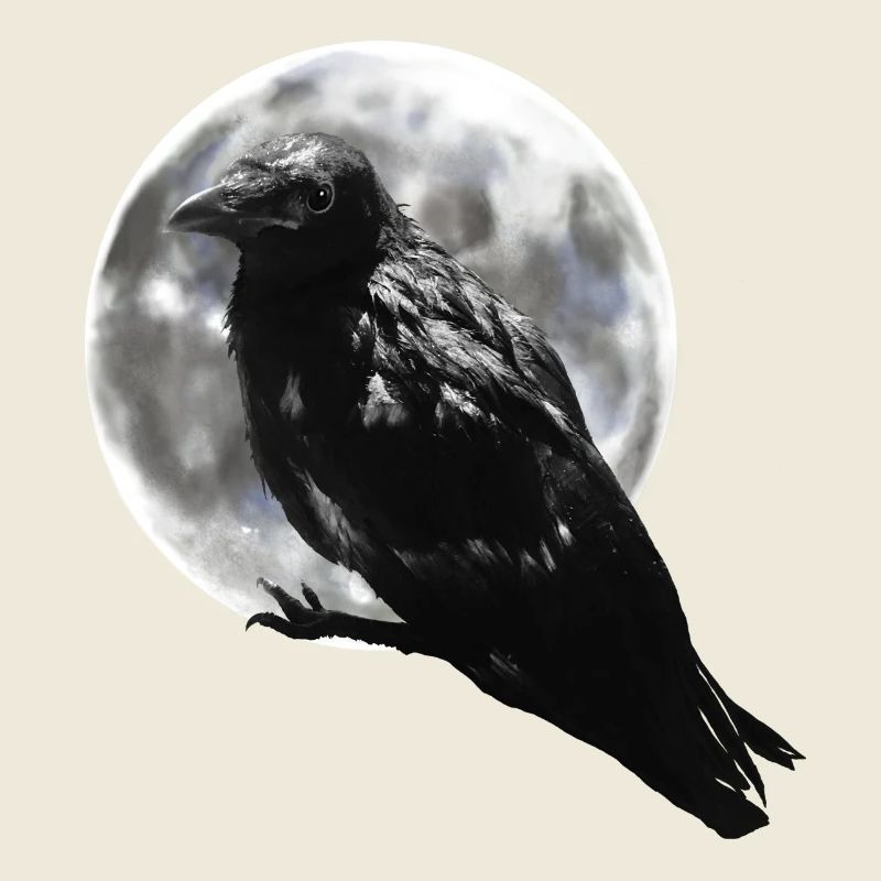 Corbeau pleine lune