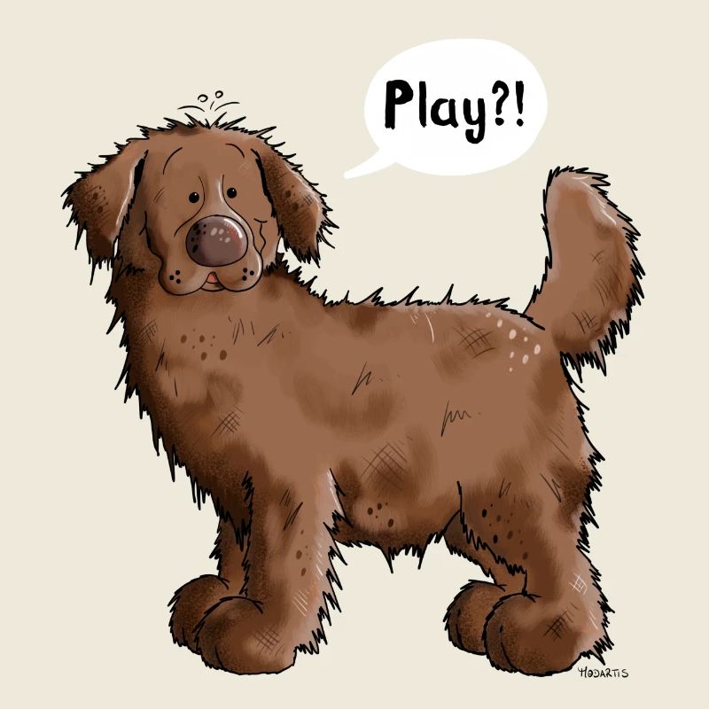 Play Terre-Neuve - Chien - Chiens,- Cadeau