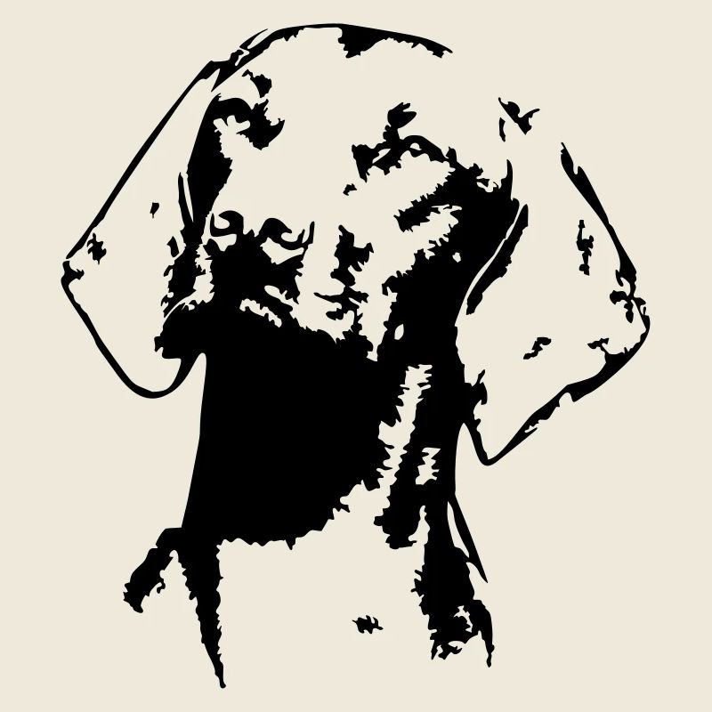 Magyar Vizsla tête