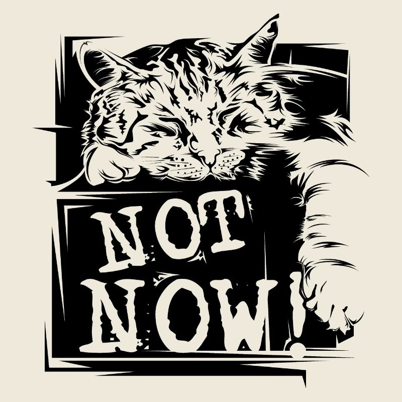 Chat Sommeil Dictons Drôles pas maintenant Animaux de compagnie