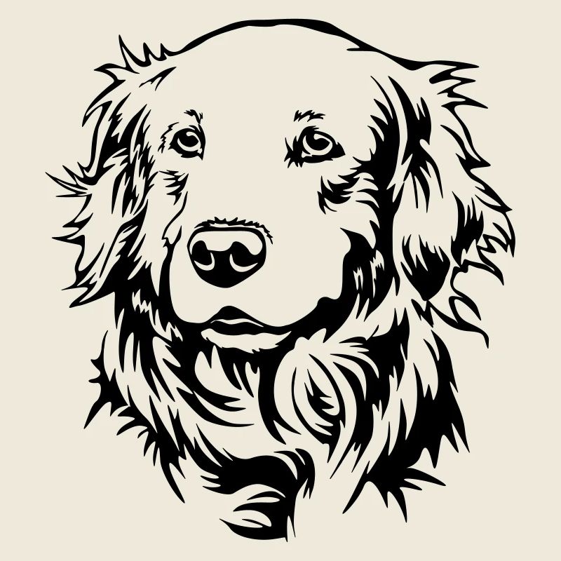 Golden Retriever Kopf