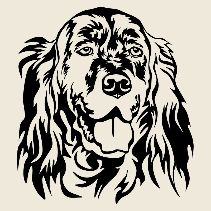 Tête de setter anglais