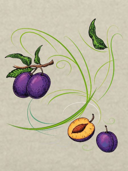 Pflaumen, Obst