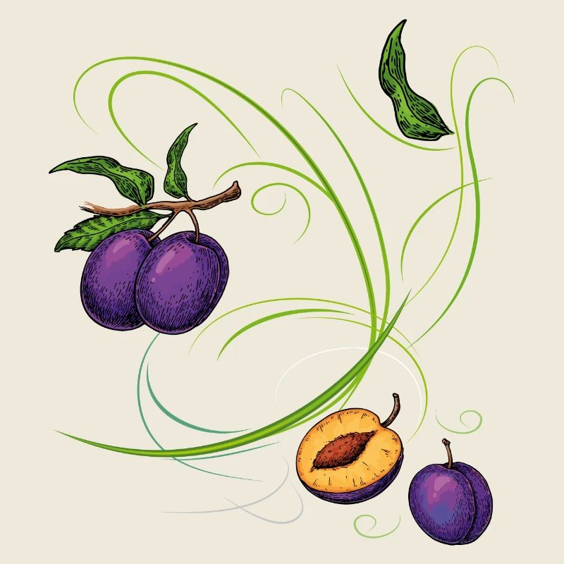 Pruneaux, fruits
