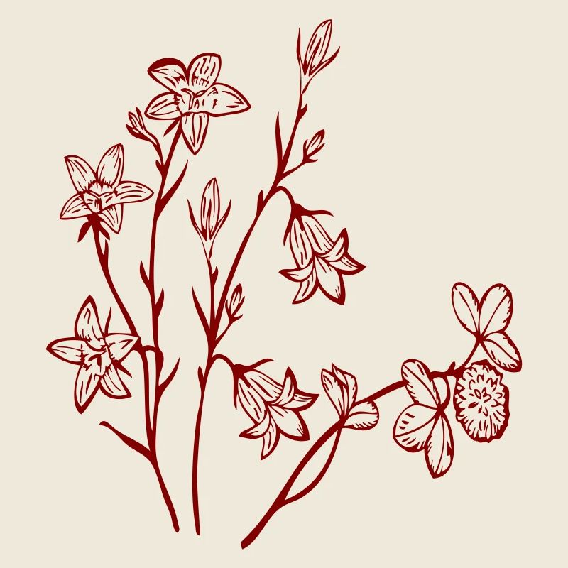 Wiesenblumen, Naturfreund