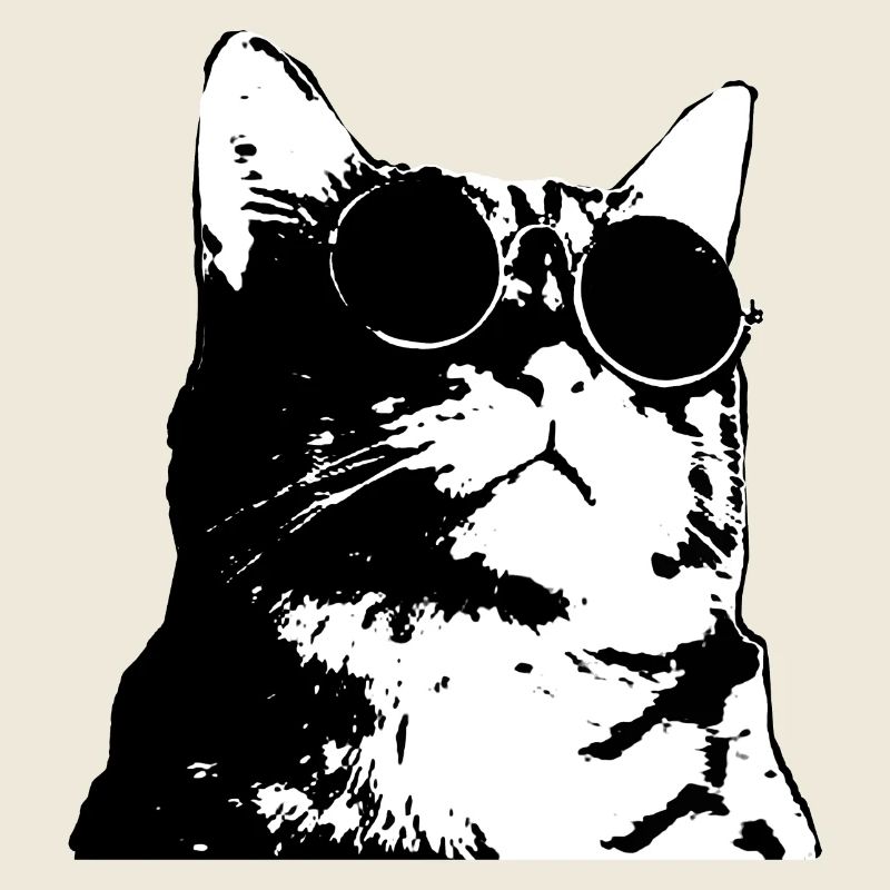 Chat avec des lunettes de soleil dans un style art de rue