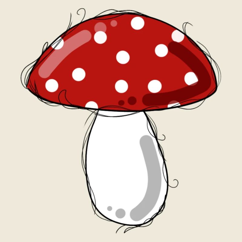 Fly agaric