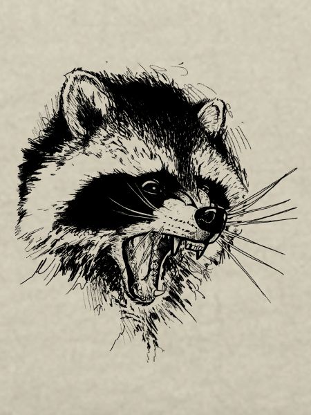 Waschbär