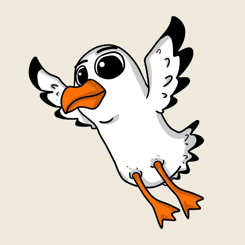Oiseau mouette