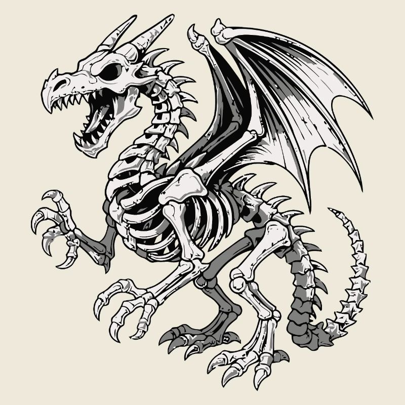 Illustration de squelette de dragon céleste