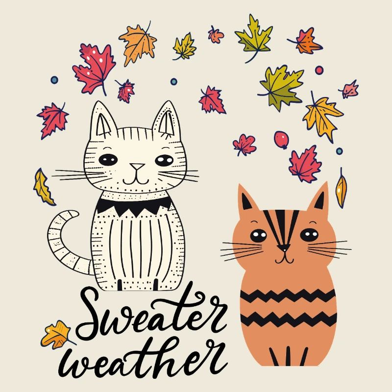 Katzen im Herbstlaub