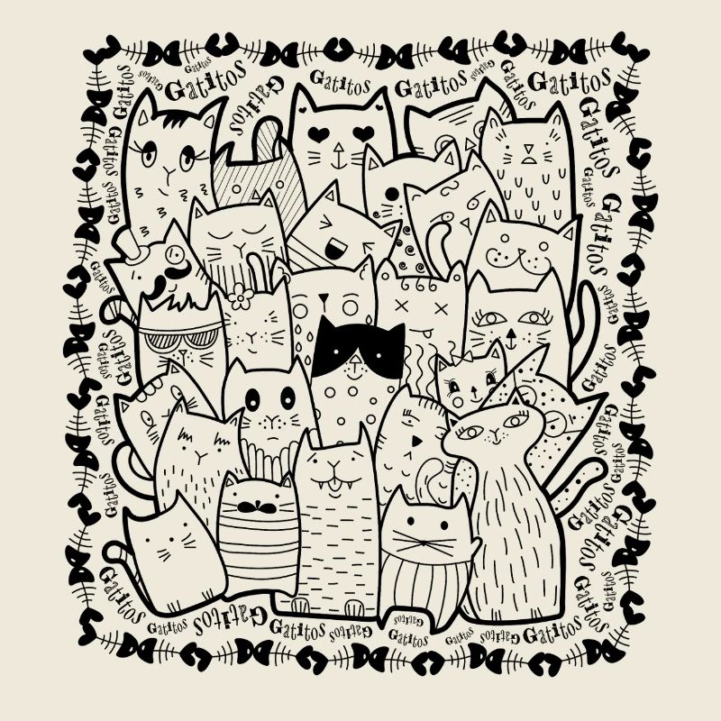 V1N Katzen