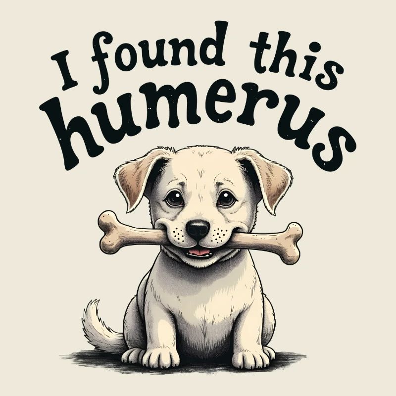 J’ai trouvé cet humérus