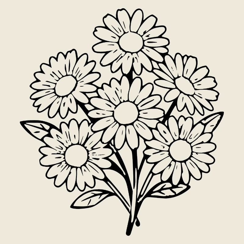 Fleur Noire Fleur Noire Fleurs Marguerites