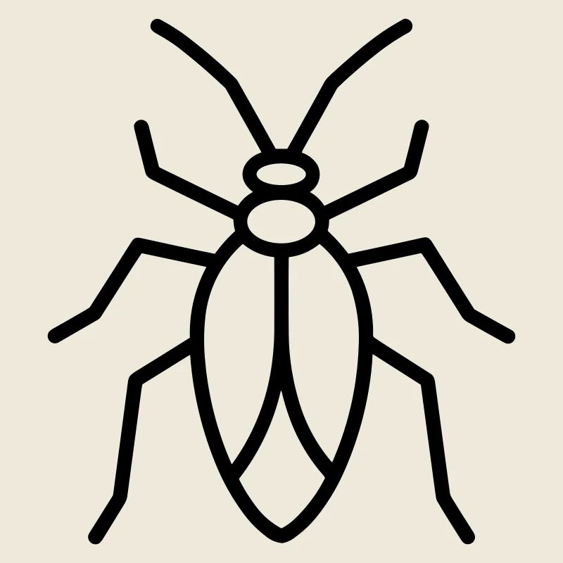 Aphid