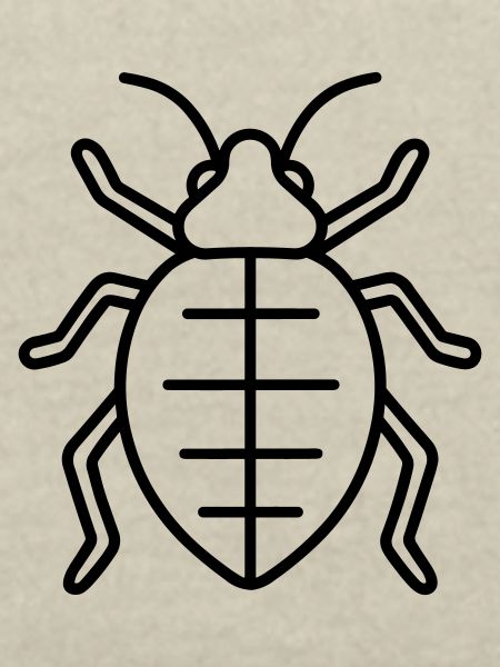 Aphid