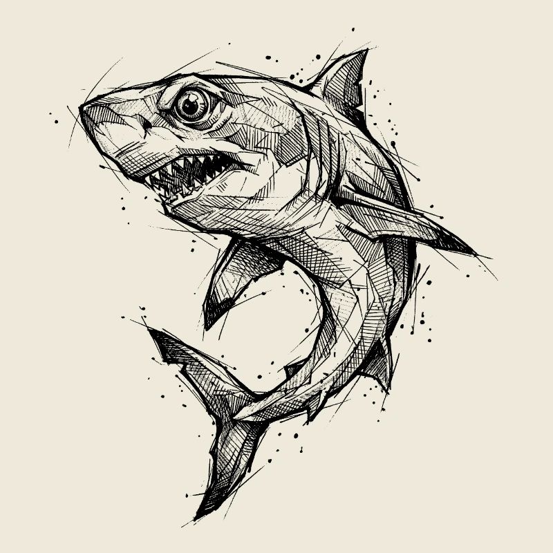 Géométrie de requin - Conception moderne de croquis de requin