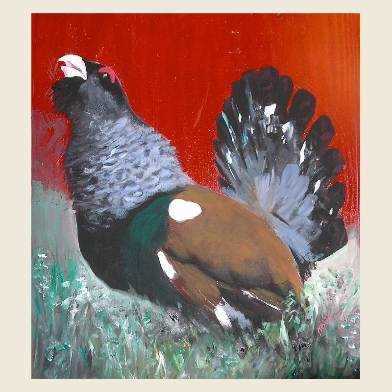 Red background pheasant in nature
