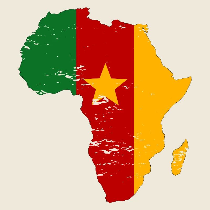 Drapeau du Sénégal Afrique utilisé
