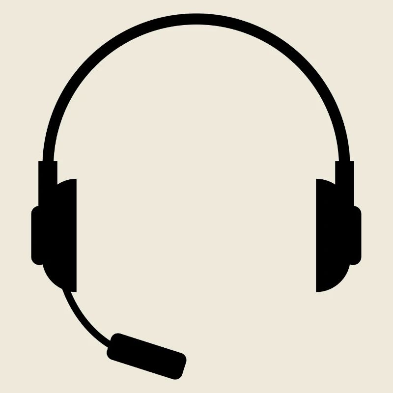 Headset With Microphone
