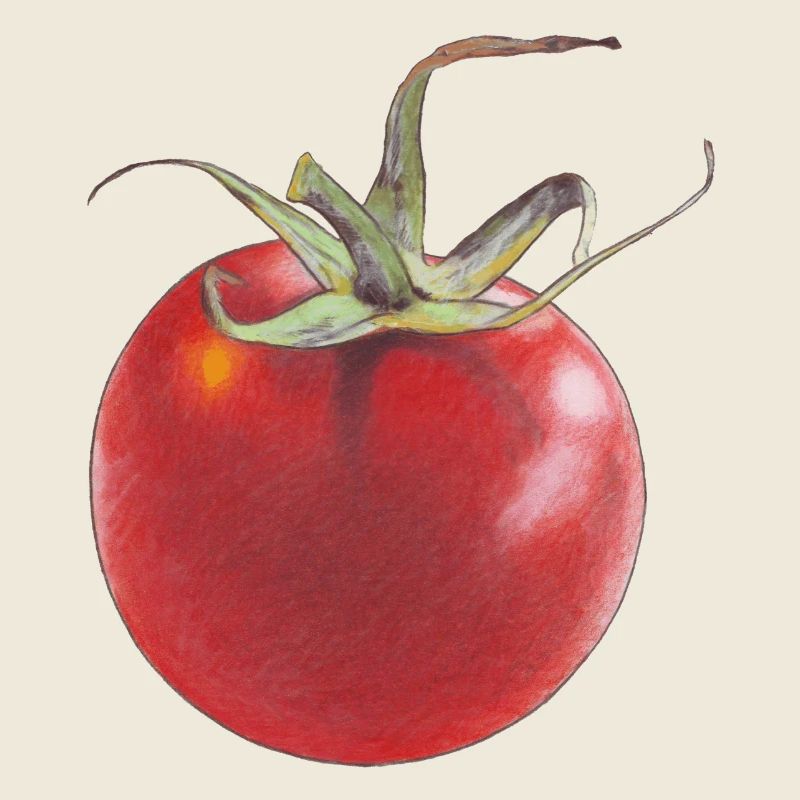Tomate