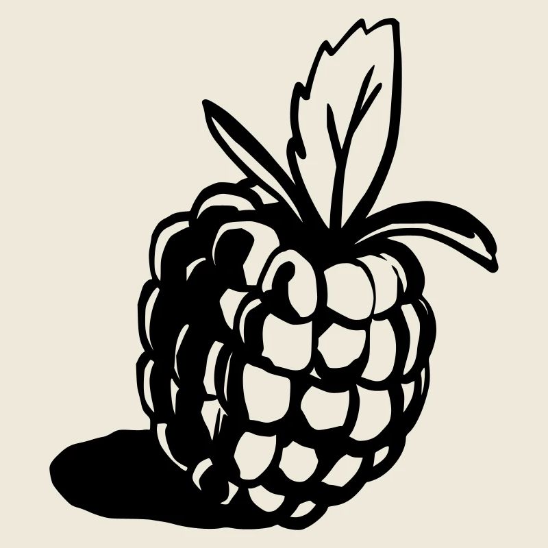 Himbeere Design klassisch
