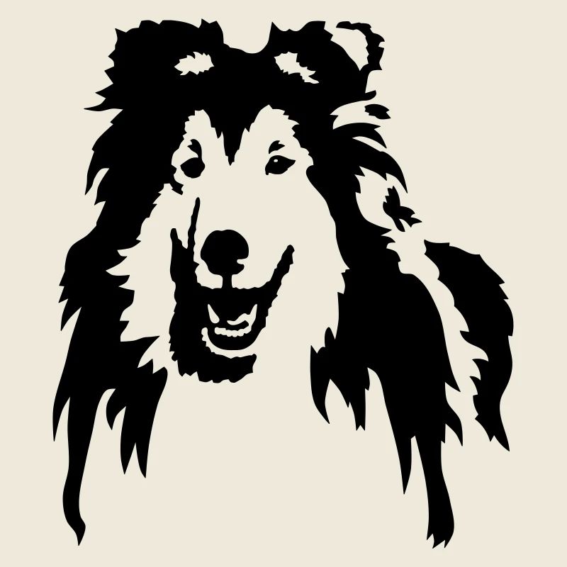 Collie