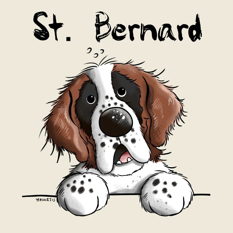 Cute Saint Bernard