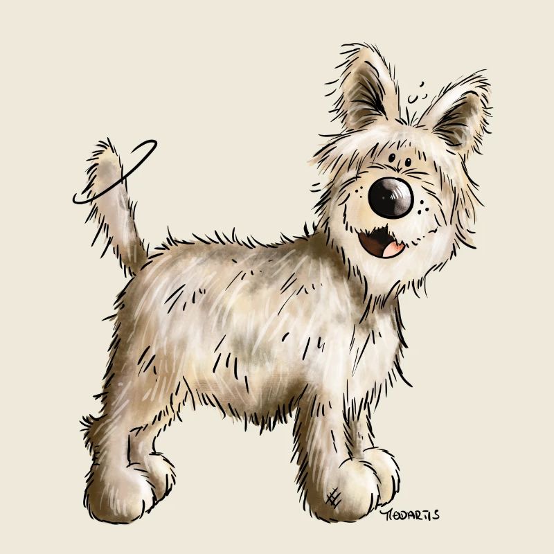 Berger Picard - Chien- Cadeau