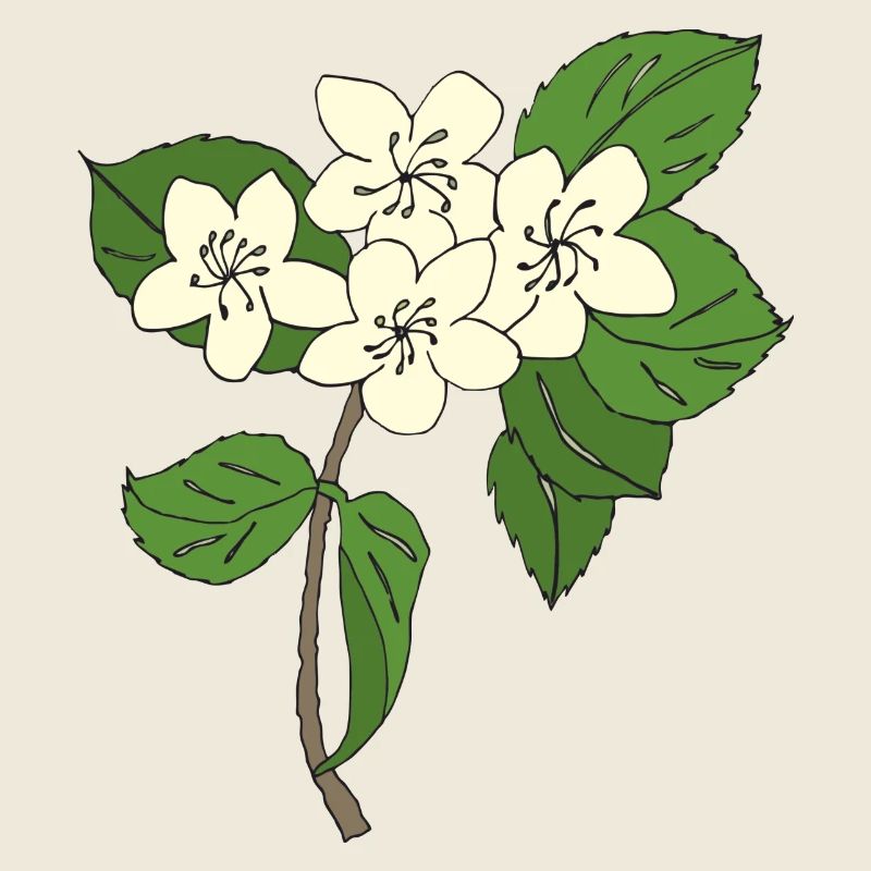 fleurs de poirier