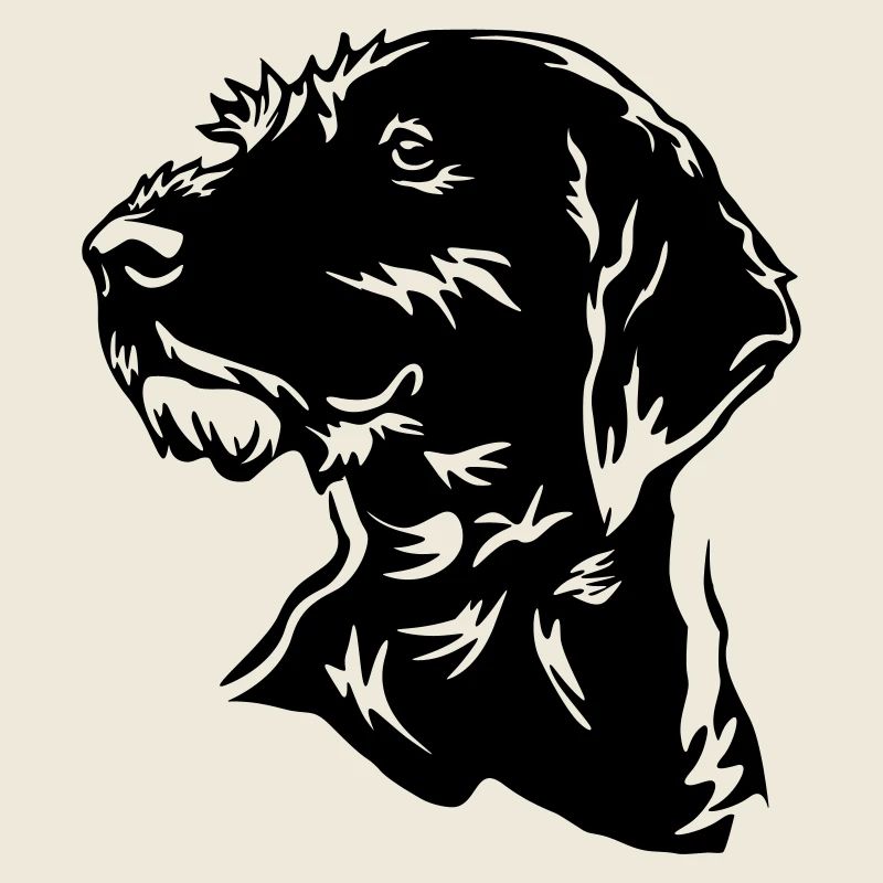 Deutsch Drahthaar Kopf