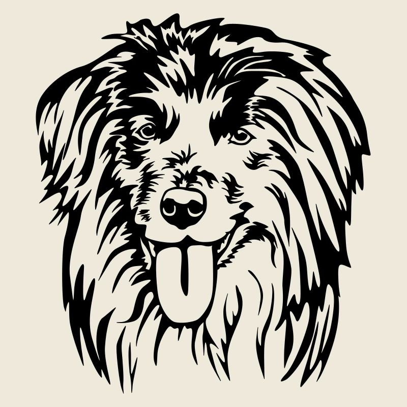 Berger des Pyrénées Kopf