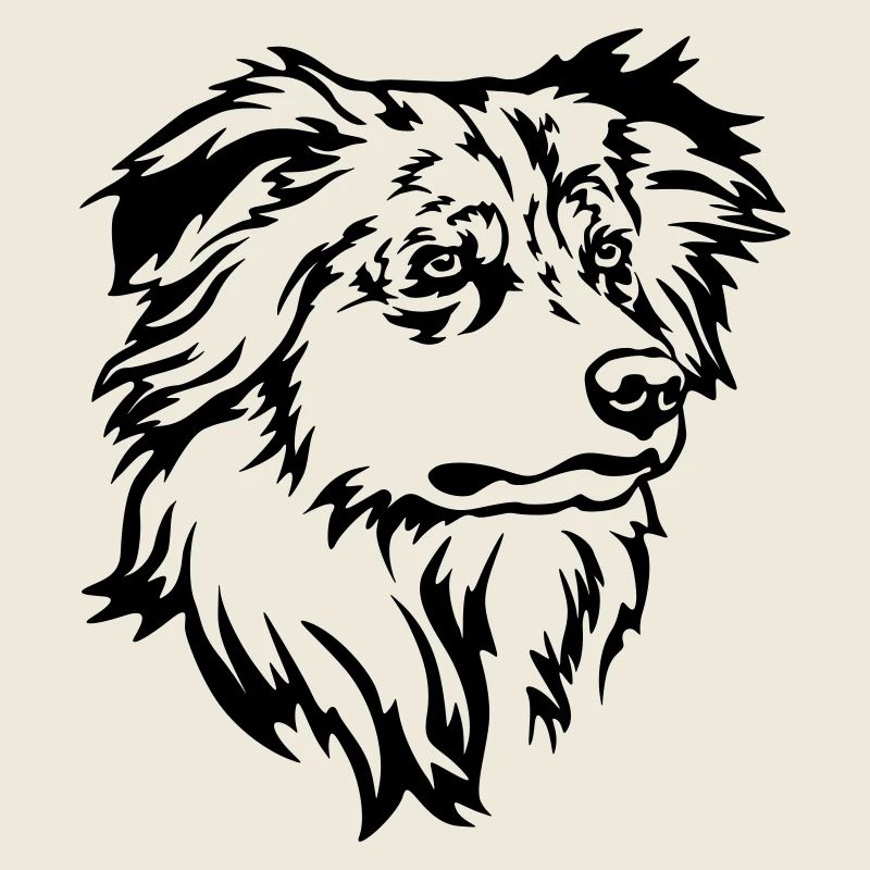 Australian Shepherd Head