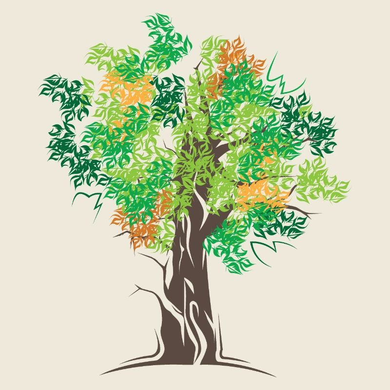 Baum Bäume Wald Herbst Farben Symbol Logo icon