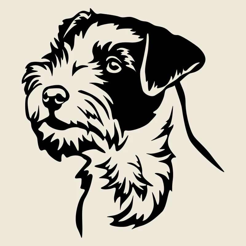 Parson Russell Terrier Tête