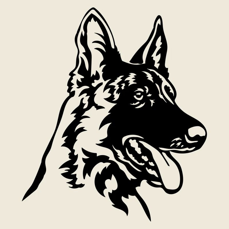 Hollandse Herder Kopf