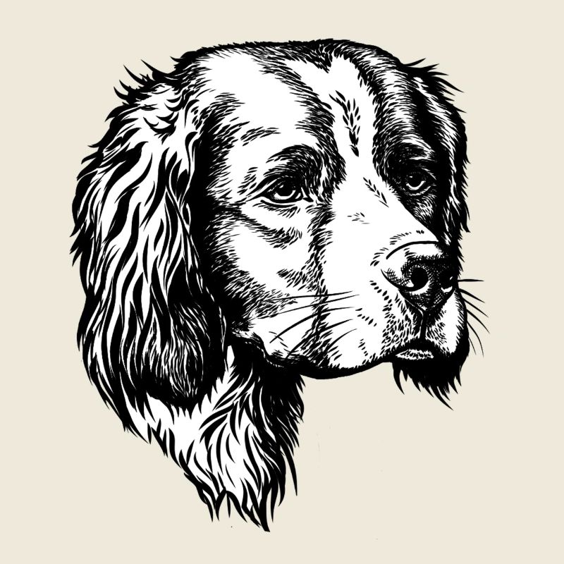 IRW Setter Portrait