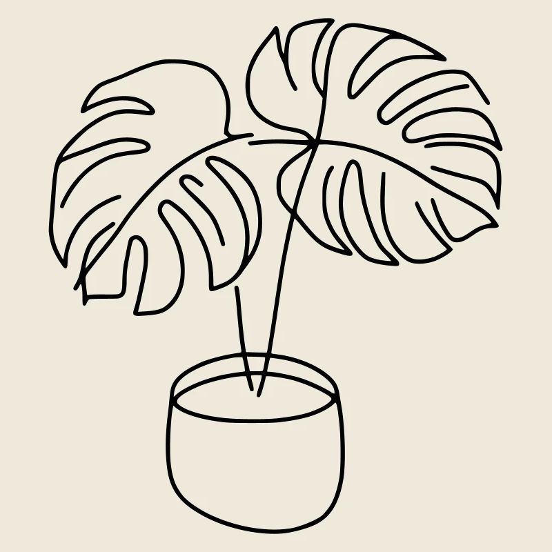 Monstera